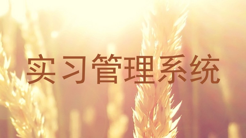 实习管理系统
