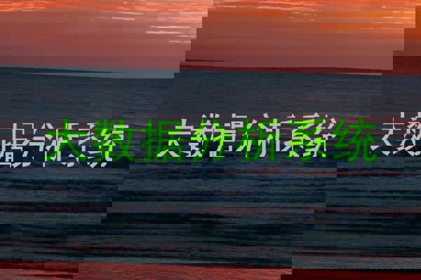 大数据分析系统