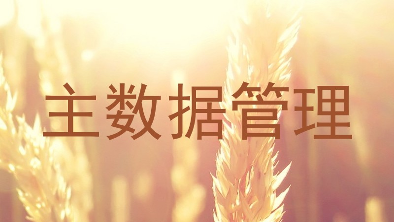 主数据管理