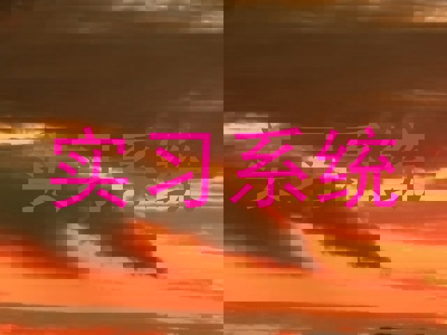 实习系统