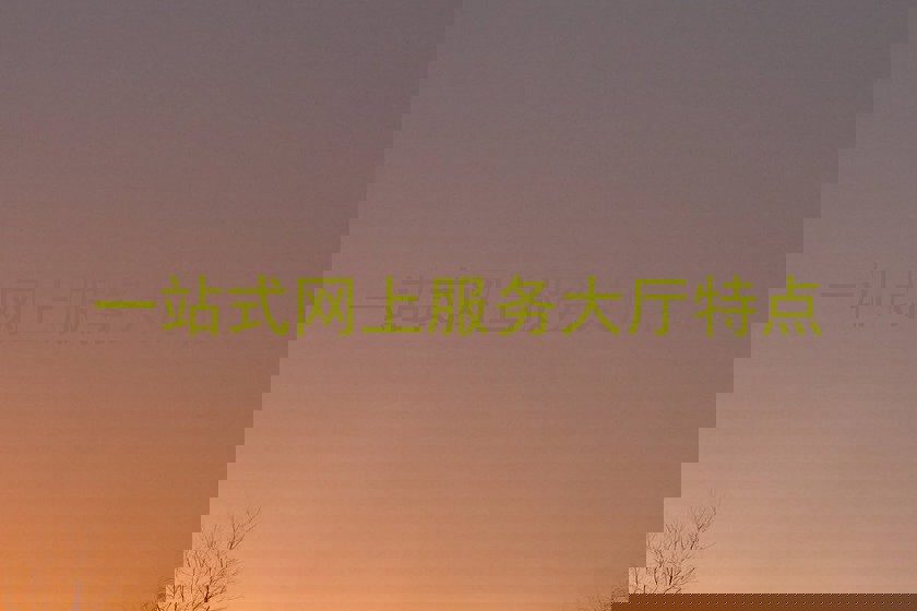 一站式网上服务大厅特点