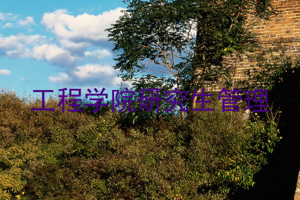 工程学院研究生管理
