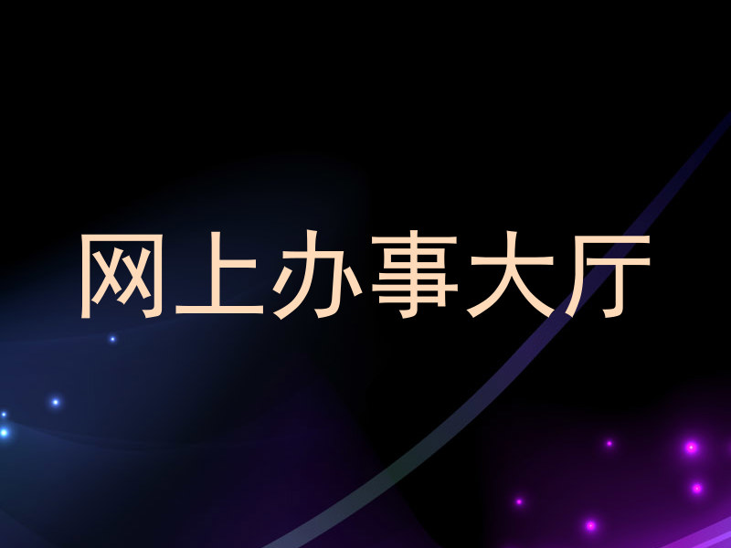 网上办事大厅