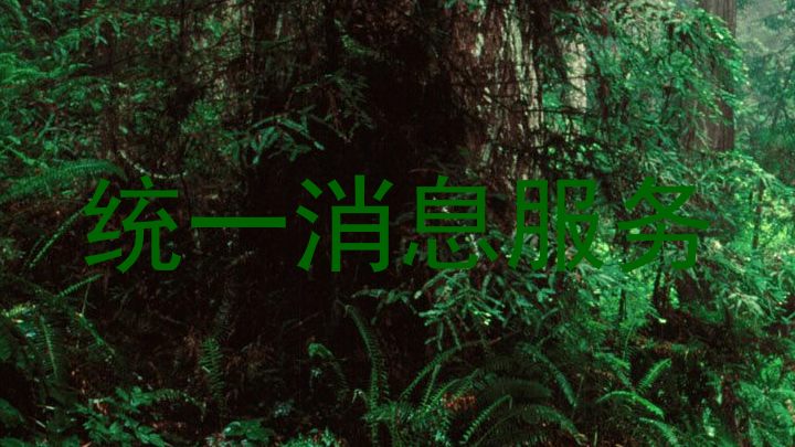 统一消息服务