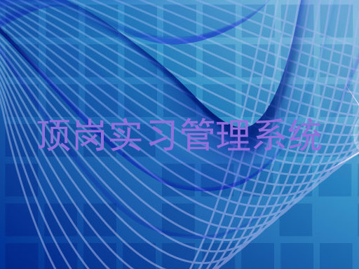 顶岗实习管理系统