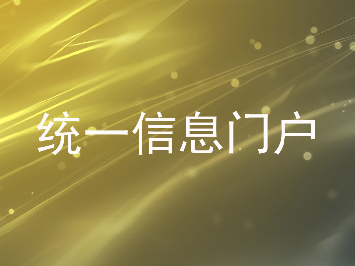 统一信息门户