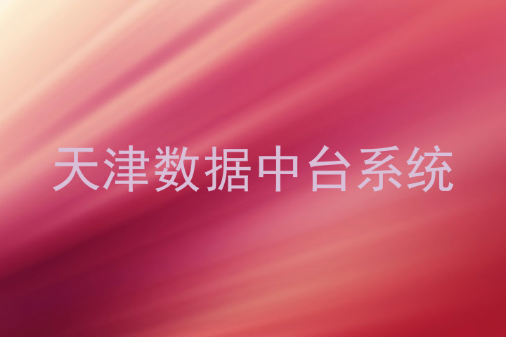 天津数据中台系统