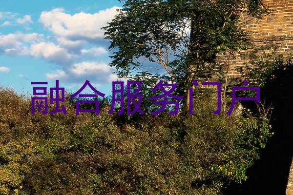 融合服务门户