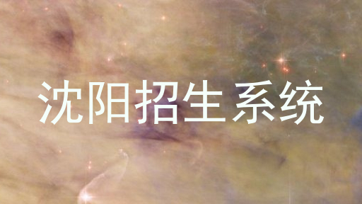 沈阳招生系统