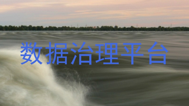 数据治理平台