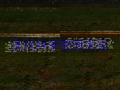 医院科研管理系统