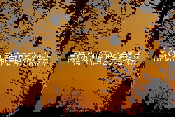 高校科研管理系统特点