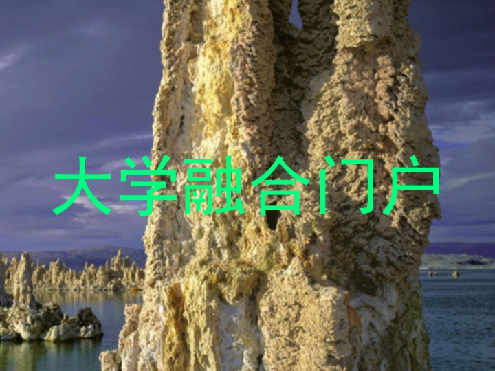 大學(xué)融合門戶