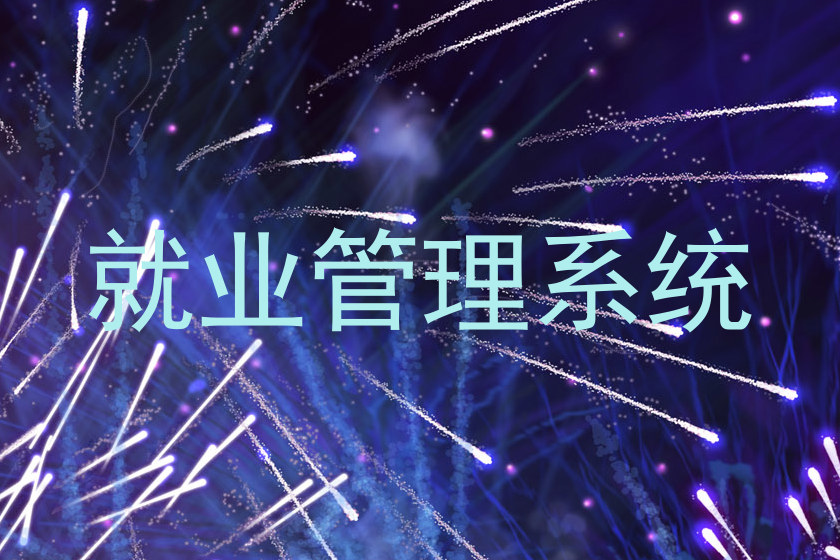 就业管理系统