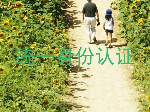 统一身份认证