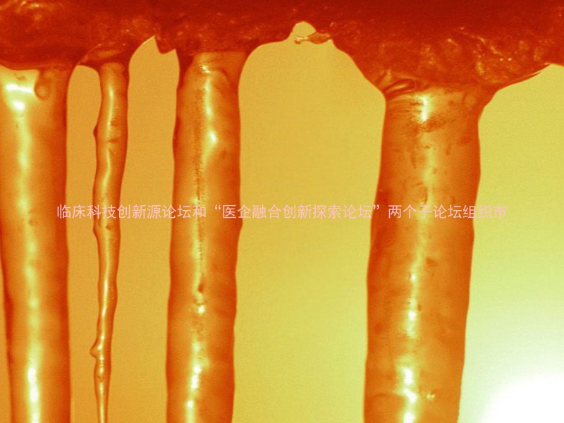 临床科技创新源论坛和“医企融合创新探索论坛”两个子论坛组织市