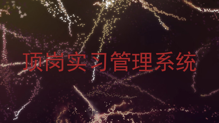 顶岗实习管理系统