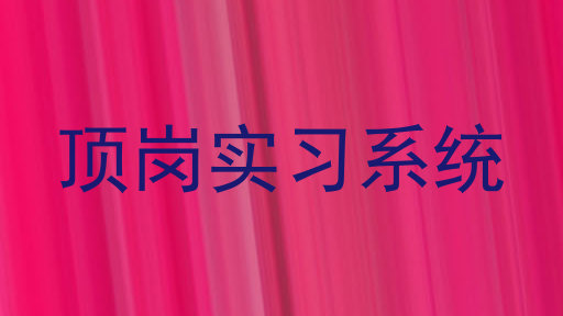 顶岗实习系统