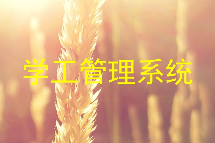 学工管理系统