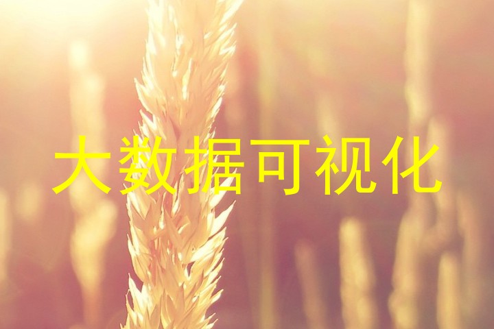 大数据可视化