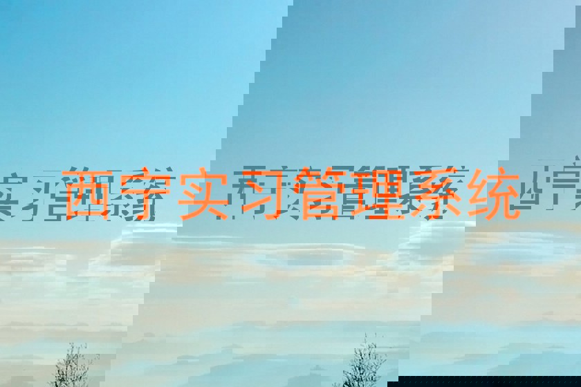 西宁实习管理系统