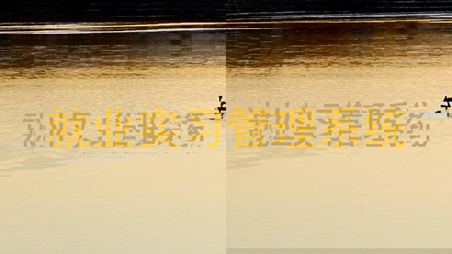 就业实习管理系统