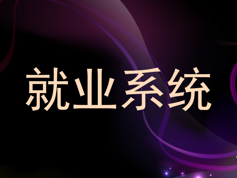 就业系统
