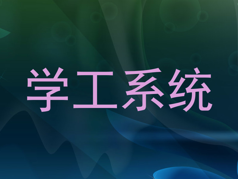 学工系统
