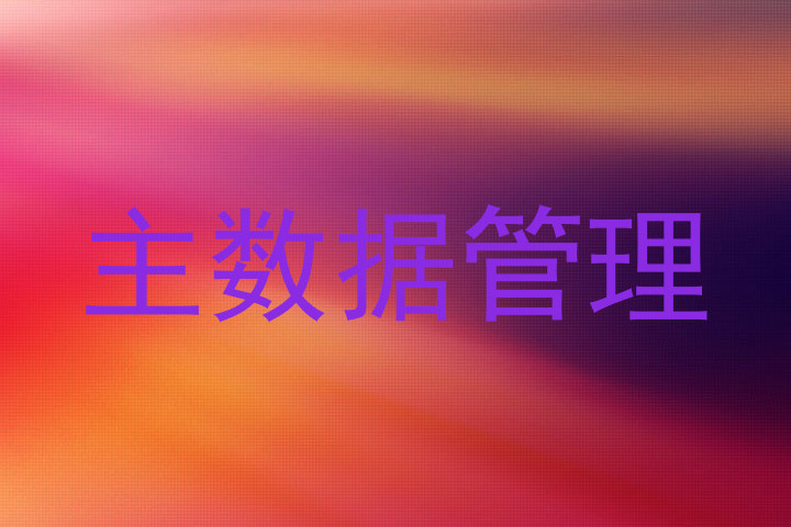 主数据管理