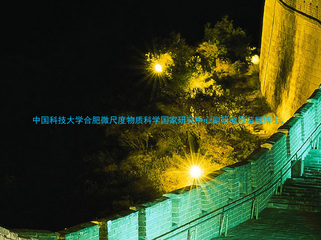 中国科技大学合肥微尺度物质科学国家研究中心副研究员苗辉博士、