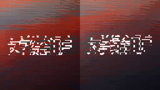大学综合门户
