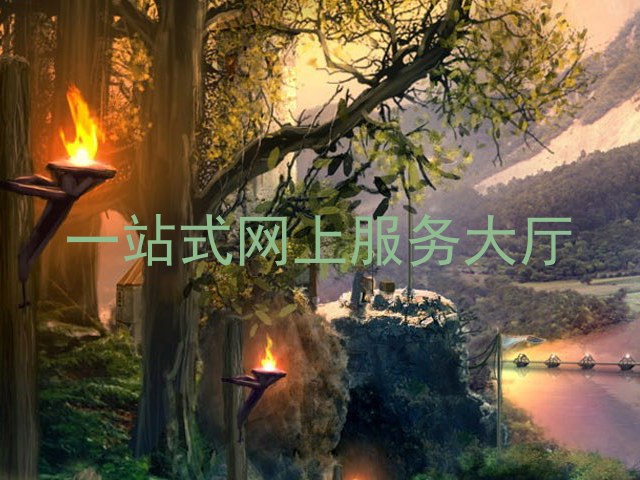一站式网上服务大厅