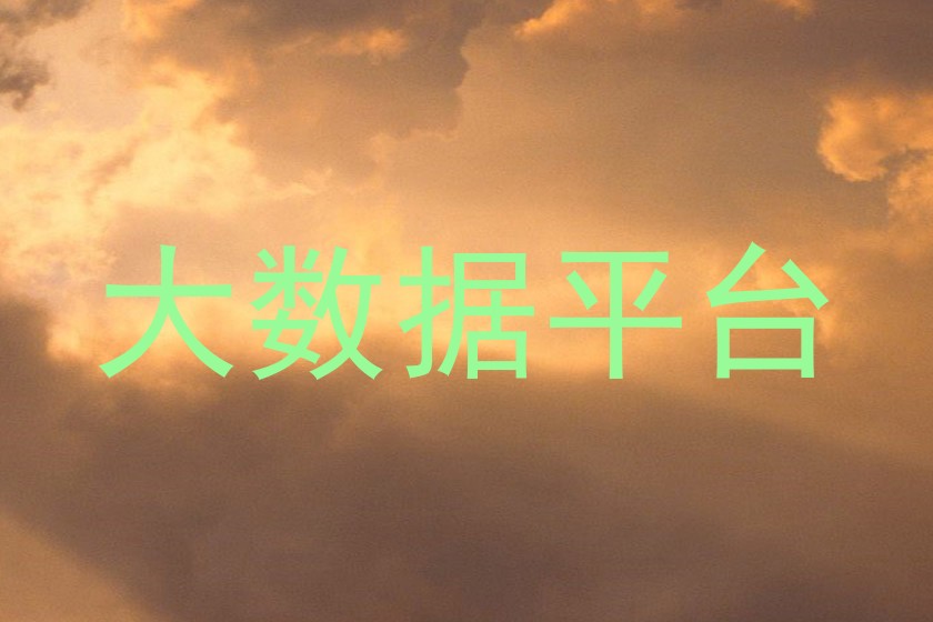 大数据平台
