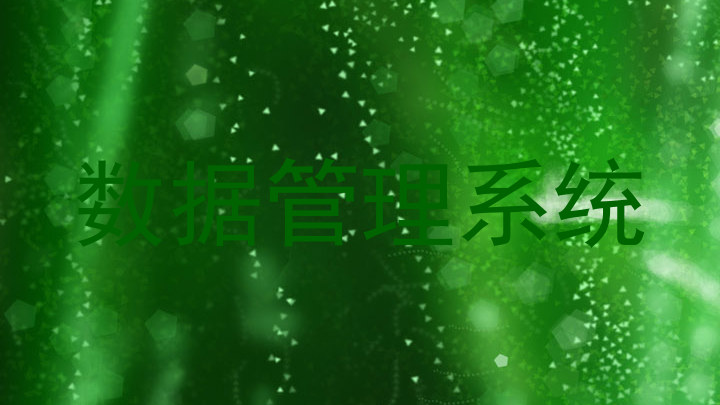 数据管理系统