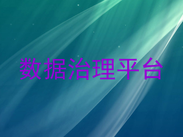 数据治理平台