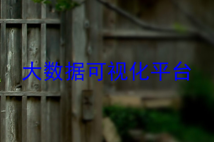 大数据可视化平台