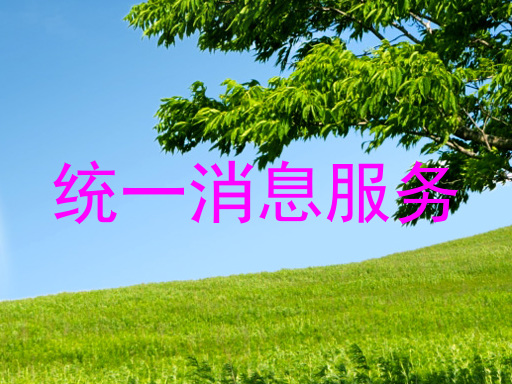 统一消息服务