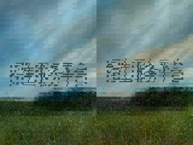 招生服务平台