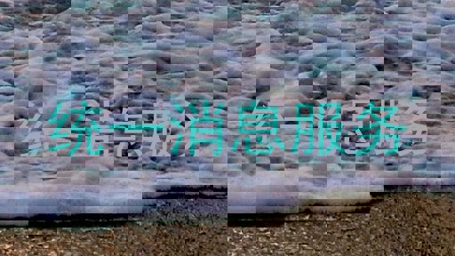 统一消息服务