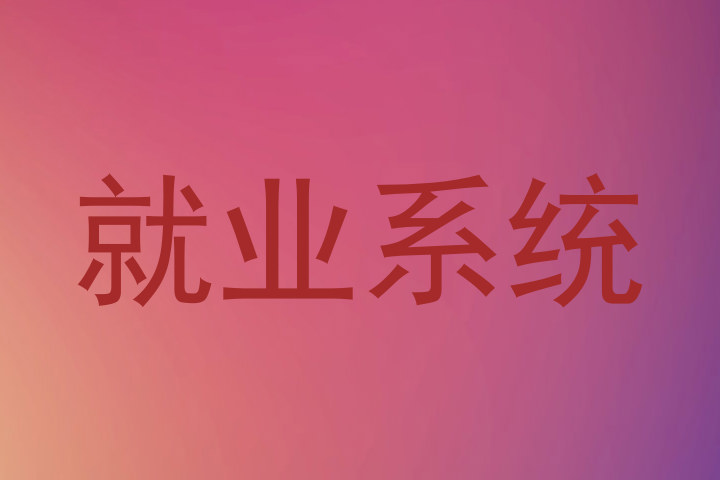 就业系统