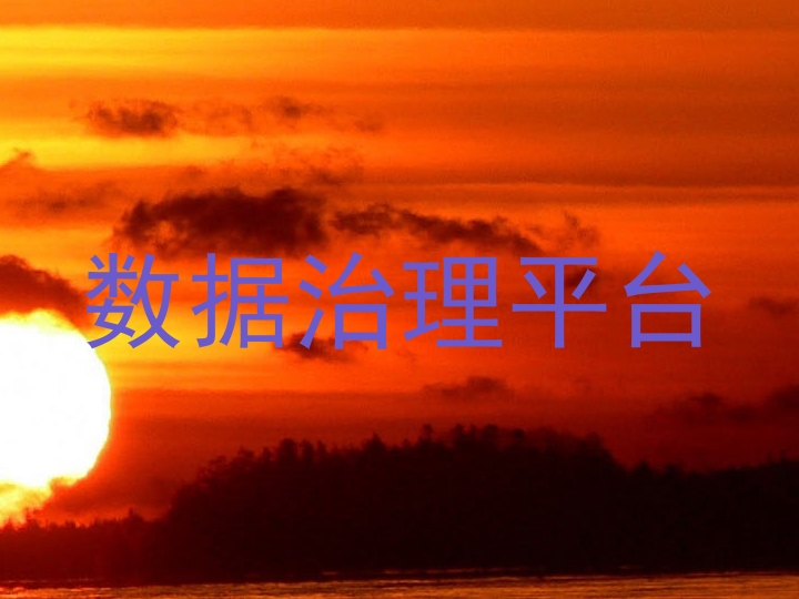 数据治理平台