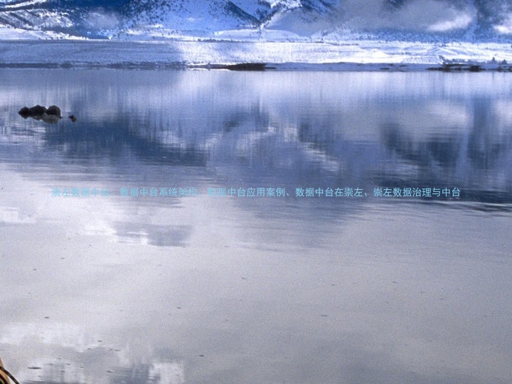 崇左数据中台、数据中台系统架构、数据中台应用案例、数据中台在崇左、崇左数据治理与中台