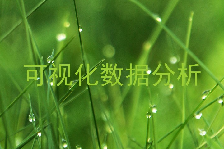 可视化数据分析