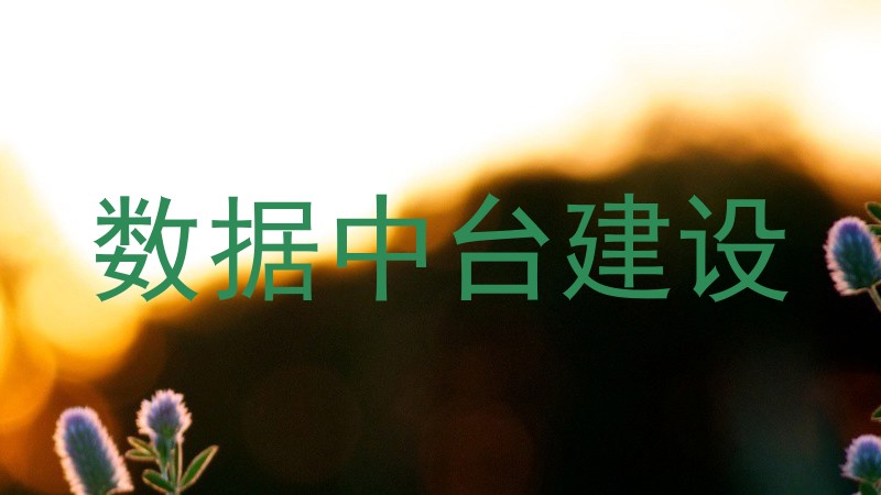 数据中台建设