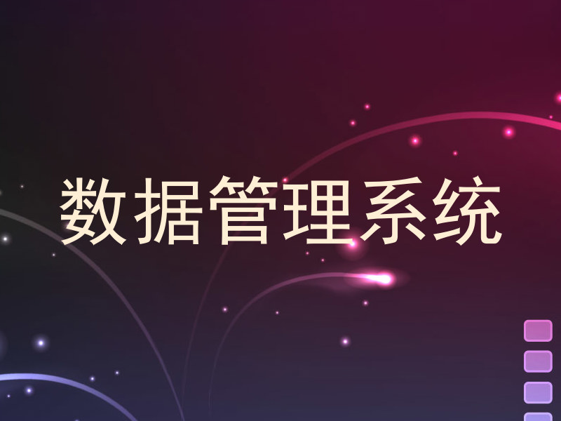 数据管理系统