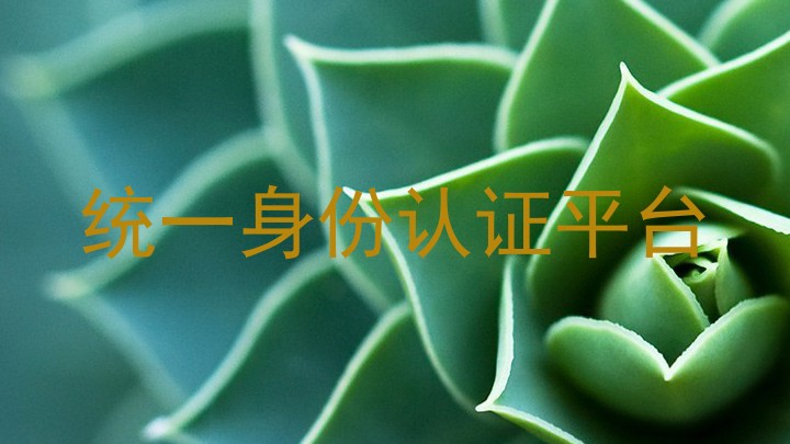 统一身份认证平台