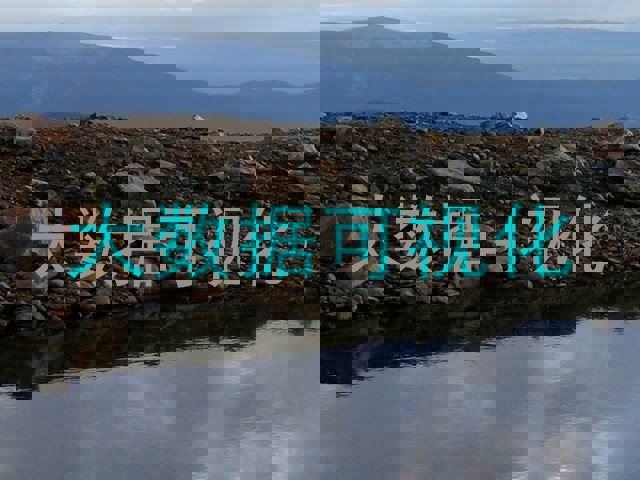 大数据可视化