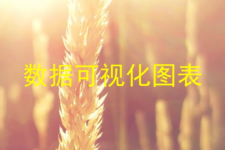 数据可视化图表