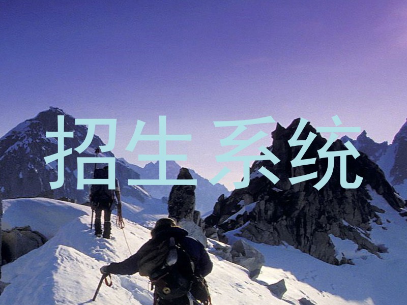 招生系统