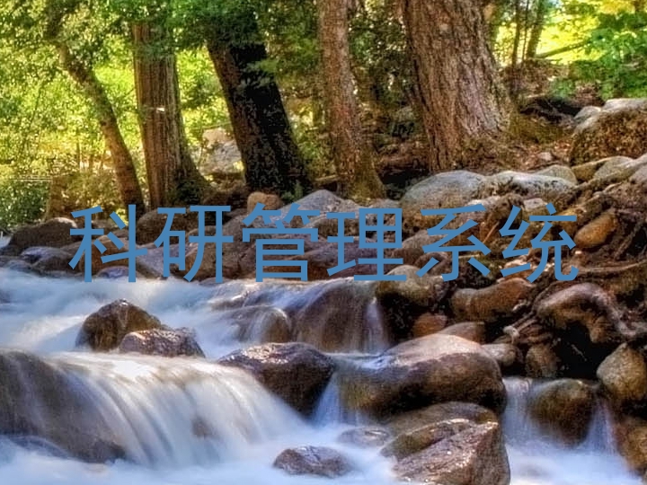 科研管理系统